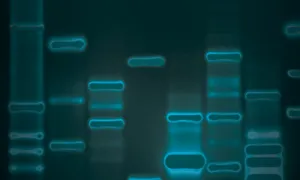 ""