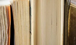 Photo of books lined up together 